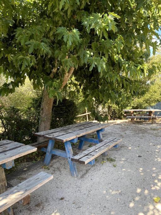La O'Liso Gorges De L'Ardeche Villa Salavas Eksteriør bilde